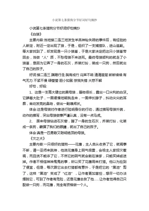 小说第七条猎狗分节好词好句摘抄
