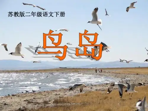 《鸟岛》PPT教学课件
