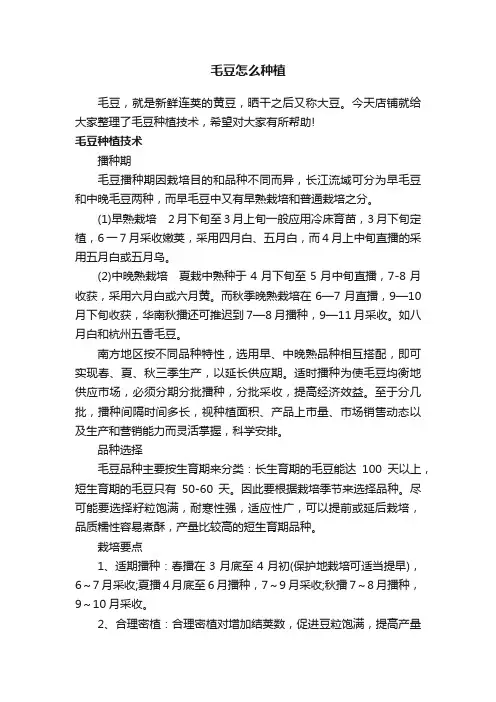 毛豆怎么种植