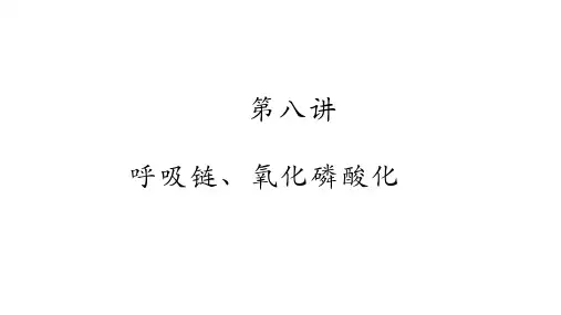 高中生物竞赛-呼吸链与氧化磷酸化