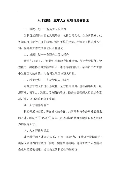 人才战略：三年人才发展与培养计划