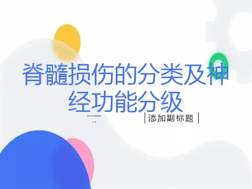 脊髓损伤的分类及评分