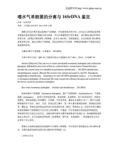 嗜水气单胞菌的分离与16SrDNA鉴定