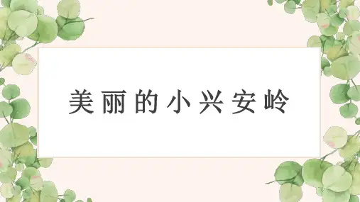 美丽的小兴安岭ppt课件