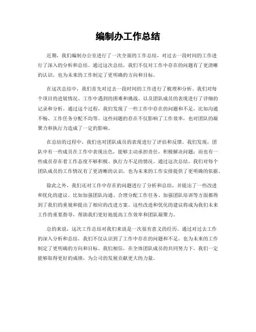编制办工作总结