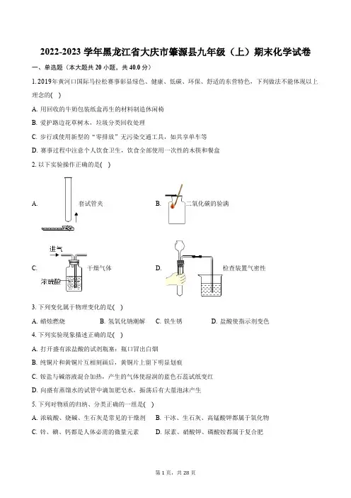 2022-2023学年黑龙江省大庆市肇源县九年级(上)期末化学试卷(含解析)