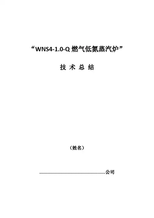 “WNS4-1.0-Q燃气低氮蒸汽炉”技术总结