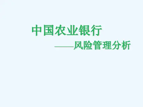 中国农业银行风险管理分析