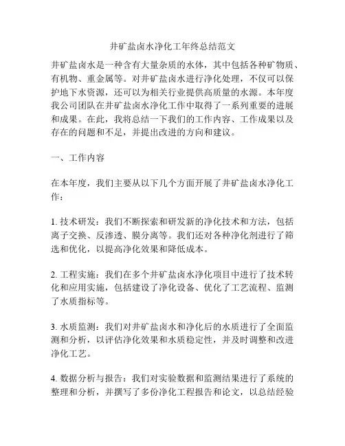 井矿盐卤水净化工年终总结范文