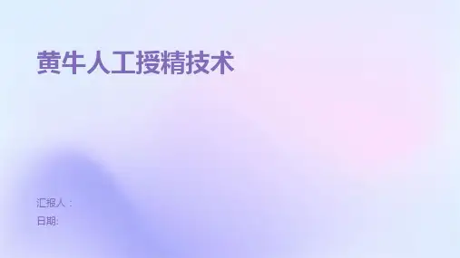 黄牛人工授精技术