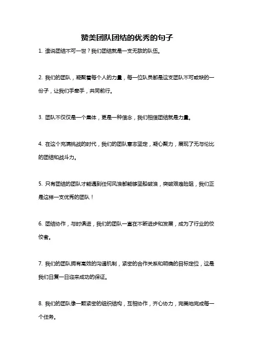 赞美团队团结的优秀的句子