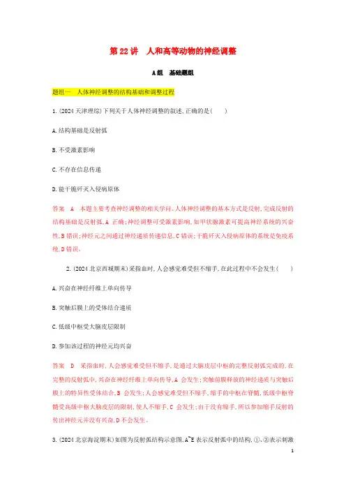 北京专用2025版高考生物总复习第22讲人和高等动物的神经调节精练含解析
