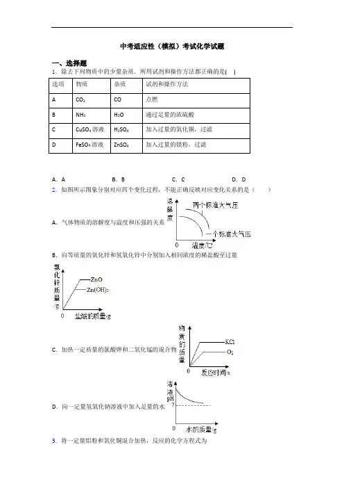 中考适应性(模拟)考试化学试题