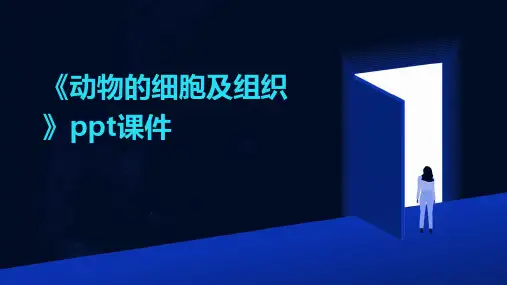 《动物的细胞及组织》课件