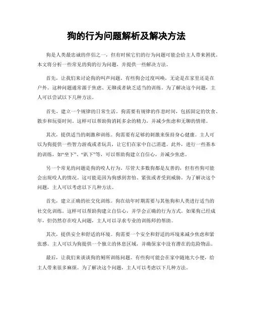 狗的行为问题解析及解决方法
