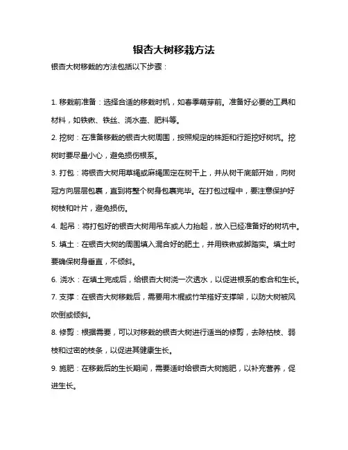 银杏大树移栽方法