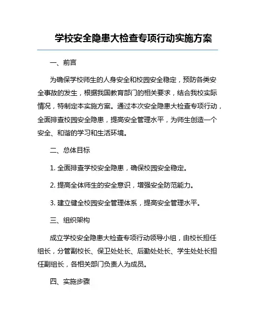 学校安全隐患大检查专项行动实施方案
