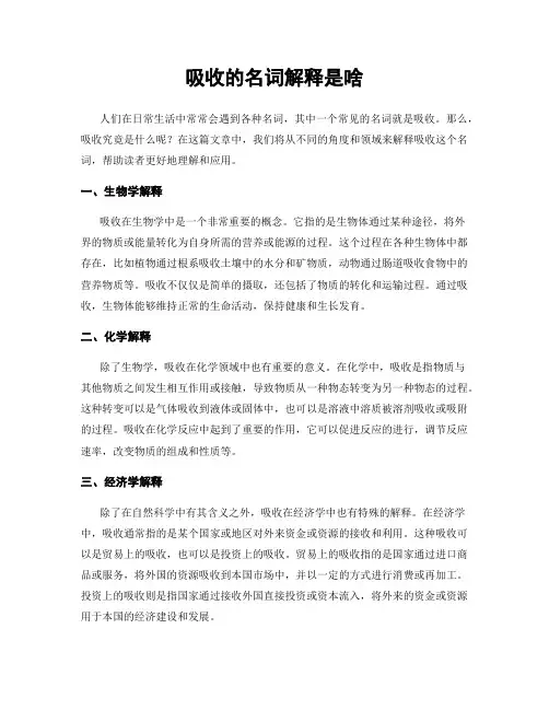 吸收的名词解释是啥