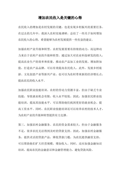 增加农民收入是关键的心得
