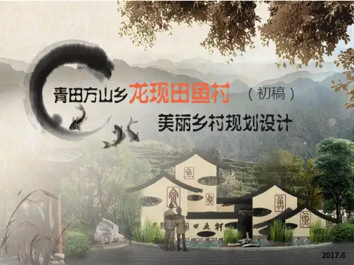 (完整PPT)乡村规划设计