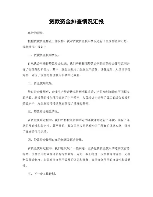 贷款资金排查情况汇报