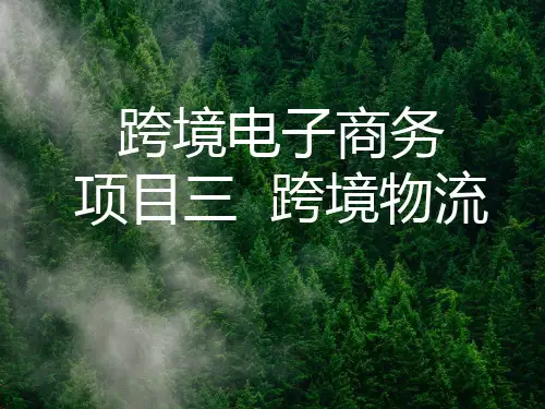 项目三 跨境物流(《跨境电子商务基础》微课版)中职电商专业课课件