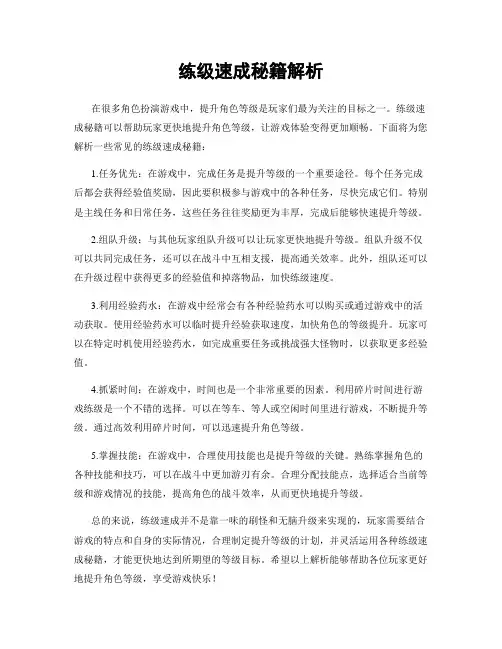 练级速成秘籍解析