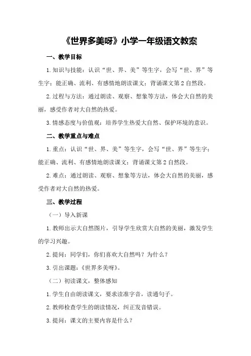 《世界多美呀》的小学一年级语文教案
