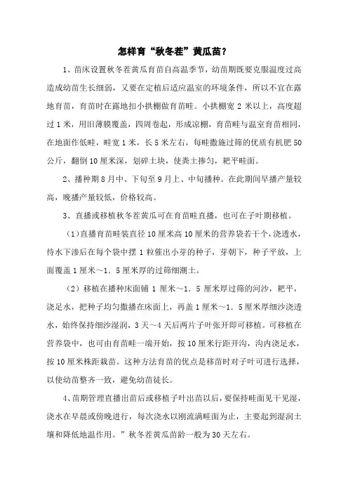 怎样育“秋冬茬”黄瓜苗？
