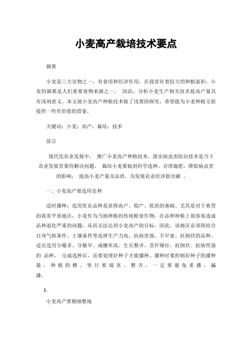 小麦高产栽培技术要点