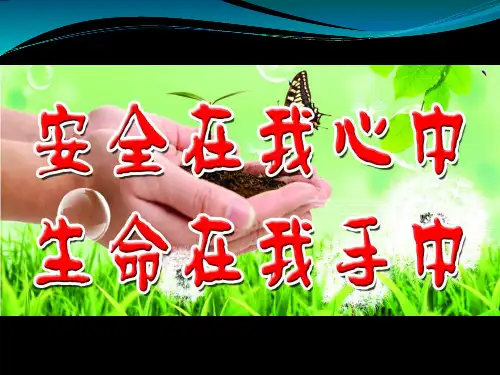 《开学第一课—安全在我心中》主题班会课件