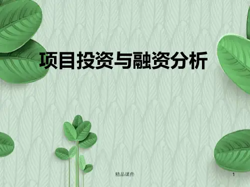 项目投资与融资分析项目投资与运营成本的估算PPT课件