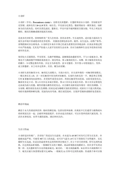 小龙虾