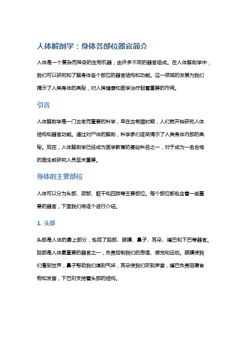 人体解剖学：身体各部位器官简介