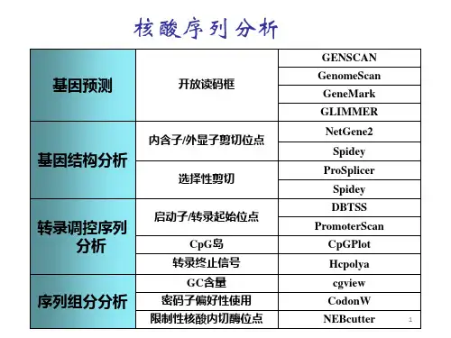 核酸序列分析泛讲