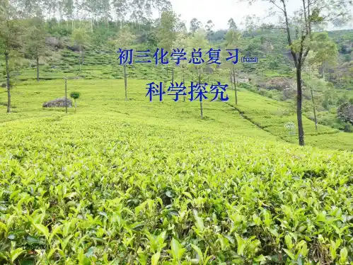 中考化学总复习 实验探究课件
