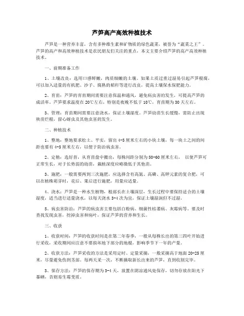 芦笋高产高效种植技术