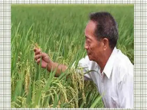 生物育种技术专题复习