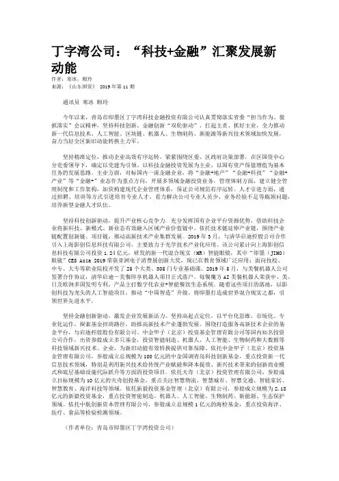 丁字湾公司：“科技+金融”汇聚发展新动能