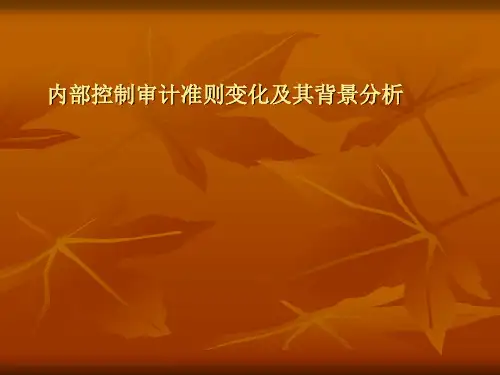 内部控制审计准则..