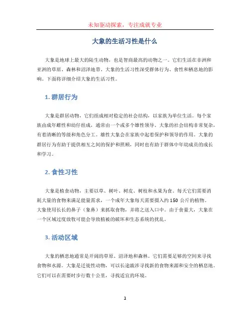 大象的生活习性是什么