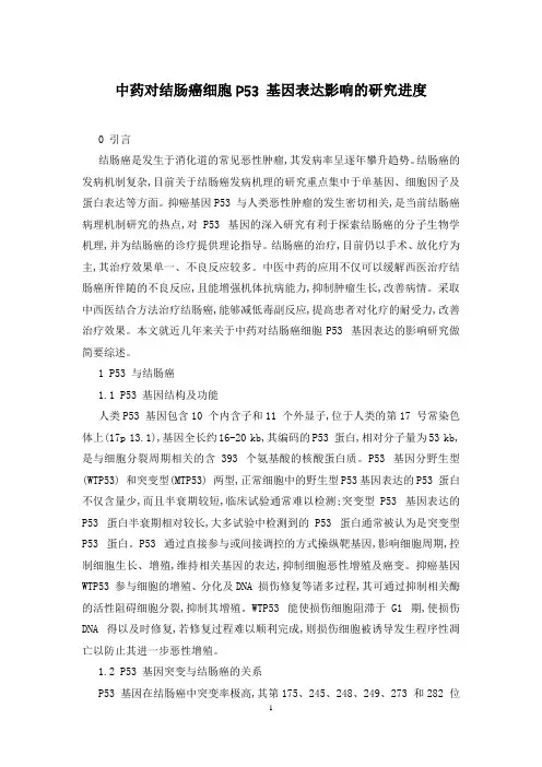 中药对结肠癌细胞P53 基因表达影响的研究进度