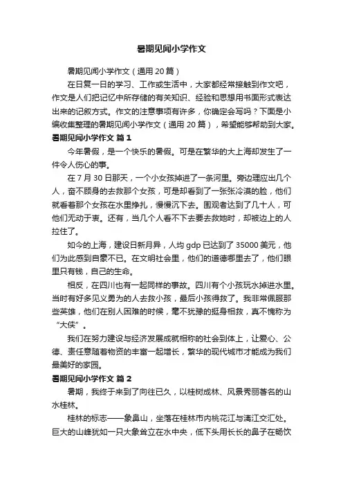 暑期见闻小学作文（通用20篇）