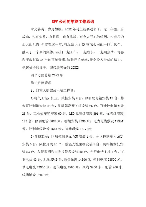 2019年SPV公司的年终工作总结