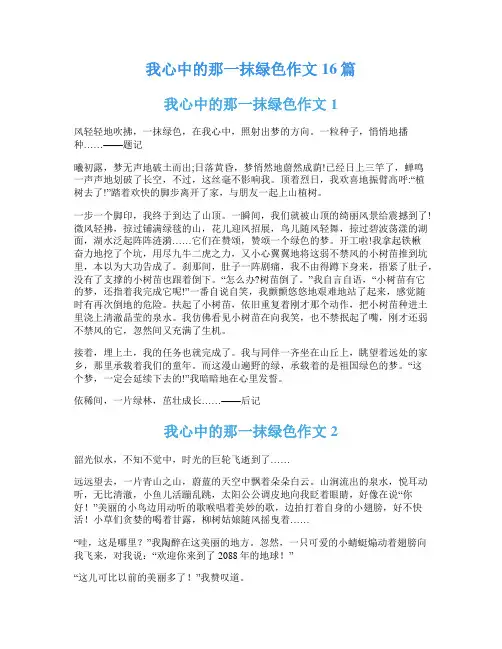 我心中的那一抹绿色作文16篇