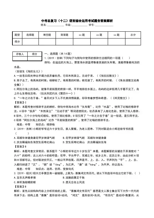 中考总复习(十二)语言综合运用考试题含答案解析.doc