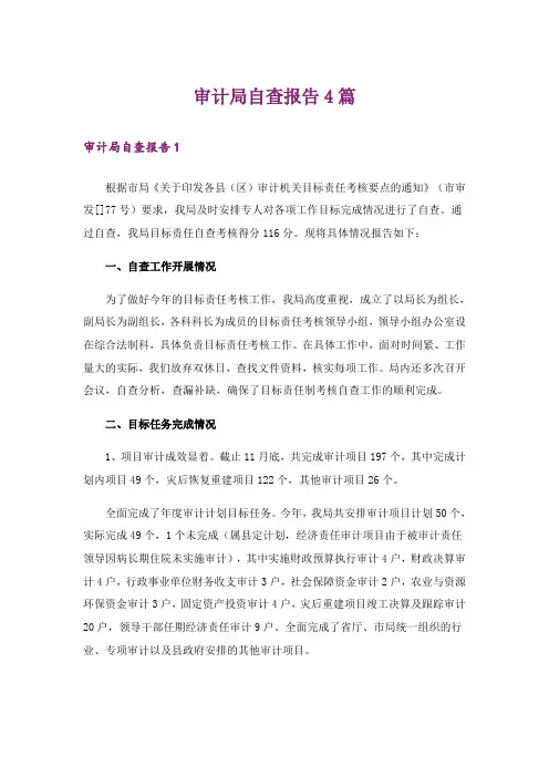 审计局自查报告4篇