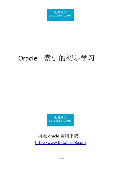 《oracle的索引初步学习》,40多页