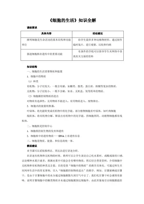 七年级生物上册《细胞的生活》知识全解