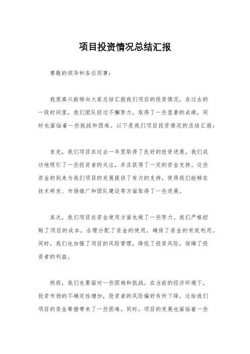 项目投资情况总结汇报